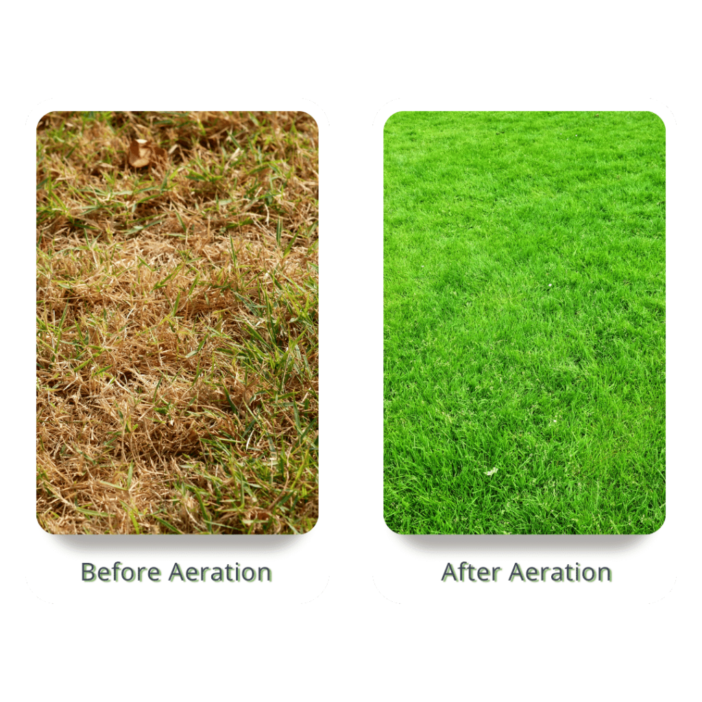 Lawn Aeration Services - Rain King Iowa